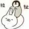 书友79557