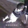书友44068