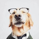 古?