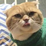 蒋琥