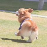 女孩对我说