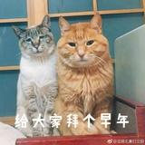 静临