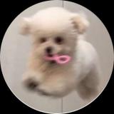 小陈同学嗄