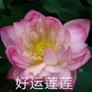 书友42177