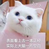 女超人喵