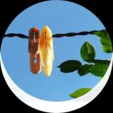 一味