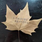 气象万千