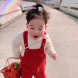 书友32005