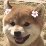 晨昭