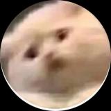 不二月卜