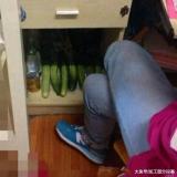 书友15937