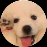 散装英文人