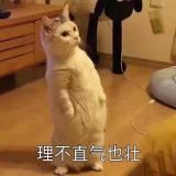 盖茨比