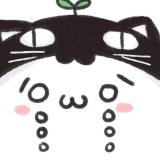 猫不会哭