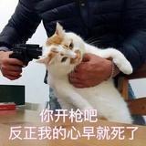 mamo啊