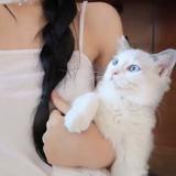 书友86437