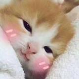 镜下曦