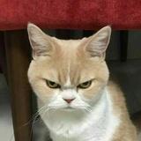 曼尼benny