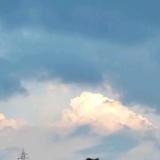 烛摇