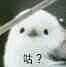 方便面调料包