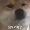 书友25266