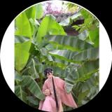 天庭舔面的日子