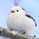 书友56756