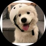 书友71408