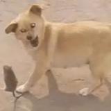 人是心上人