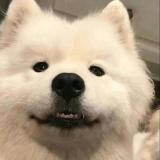 星旺讲故事