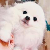 长安