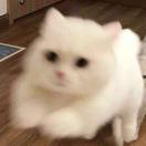 书友65502