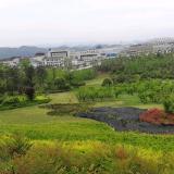 农民w