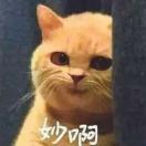 书友76391