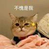 长腿兔子与太阳橙