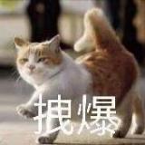 书友74098