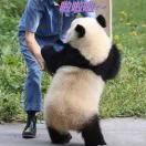吧唧吧唧