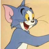 闹书荒的大懒猫