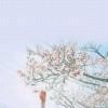 辰光清浅，相伴为暖