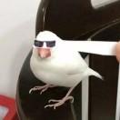 书友26632