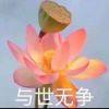 姚紫轩