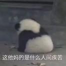 书友65953