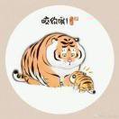 书友74852