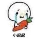 别想引起我的注意