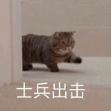 为期