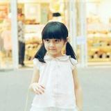 冻死的、企鹅