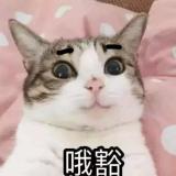 天赋