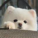 吴专一