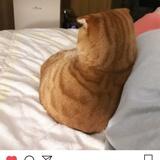 阴霾。