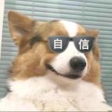 花花世界波